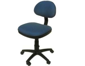 SECRETARIAL TEMIS